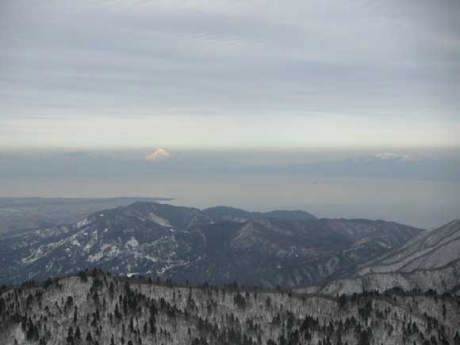 �R������ɐ��A���R��]��